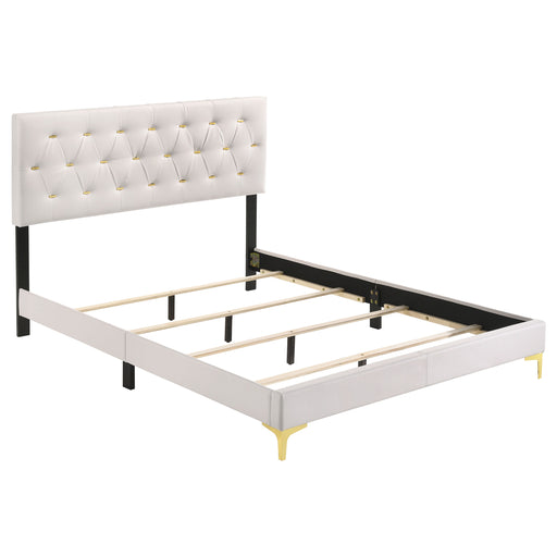 Kendall Upholstered Panel Bed - CasaBella Furniture (San Antonio, TX)