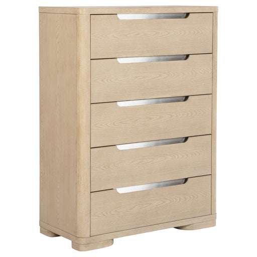 Ladera Chests - CasaBella Furniture (San Antonio, TX)
