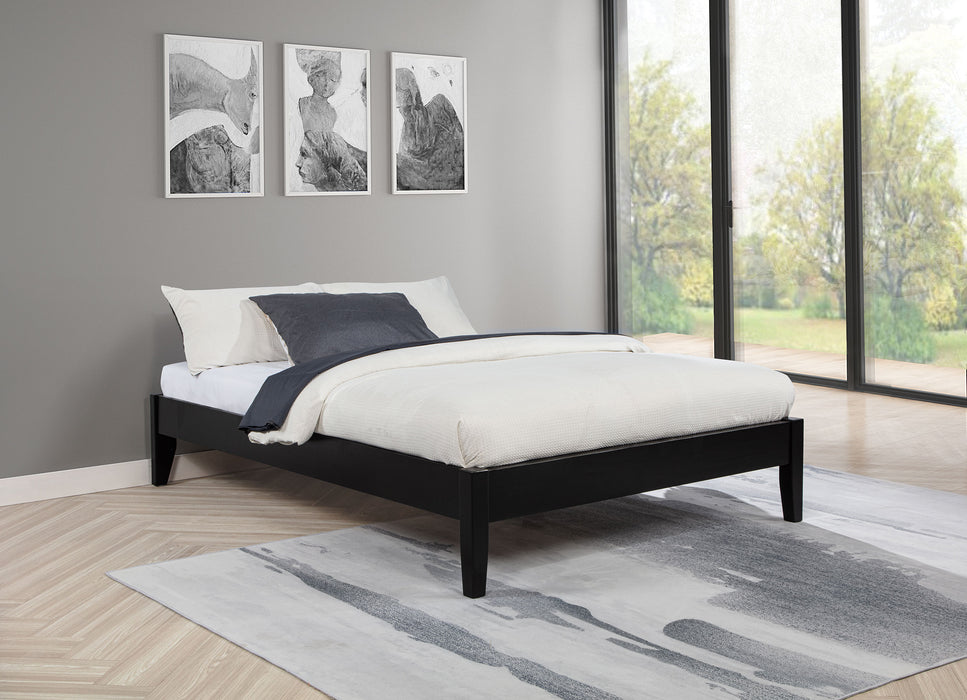 Hounslow Platform Bases - CasaBella Furniture (San Antonio, TX)
