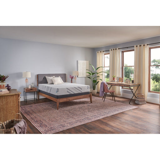 Jewel Nile Foam Mattress - CasaBella Furniture (San Antonio, TX)