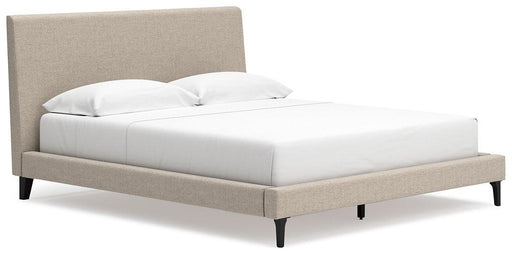 Cielden Upholstered Bed with Roll Slats - CasaBella Furniture (San Antonio, TX)
