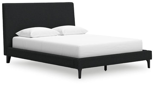 Cadmori Upholstered Bed with Roll Slats - CasaBella Furniture (San Antonio, TX)