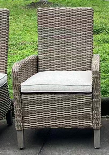Laguna Heights Arm Chair with Cushion (Set of 2) - CasaBella Furniture (San Antonio, TX)