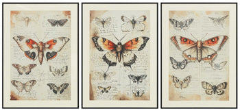 Jossletts Wall Art (Set of 3) - CasaBella Furniture (San Antonio, TX)