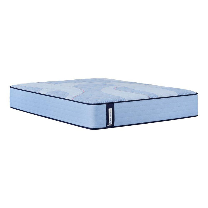 Kennett Spring Mattress - CasaBella Furniture (San Antonio, TX)