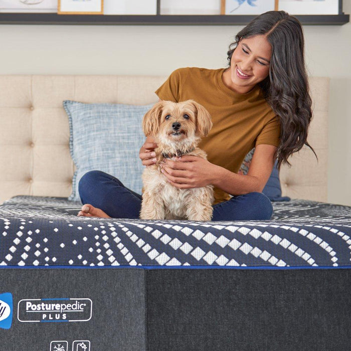 High Point Foam Mattress - CasaBella Furniture (San Antonio, TX)