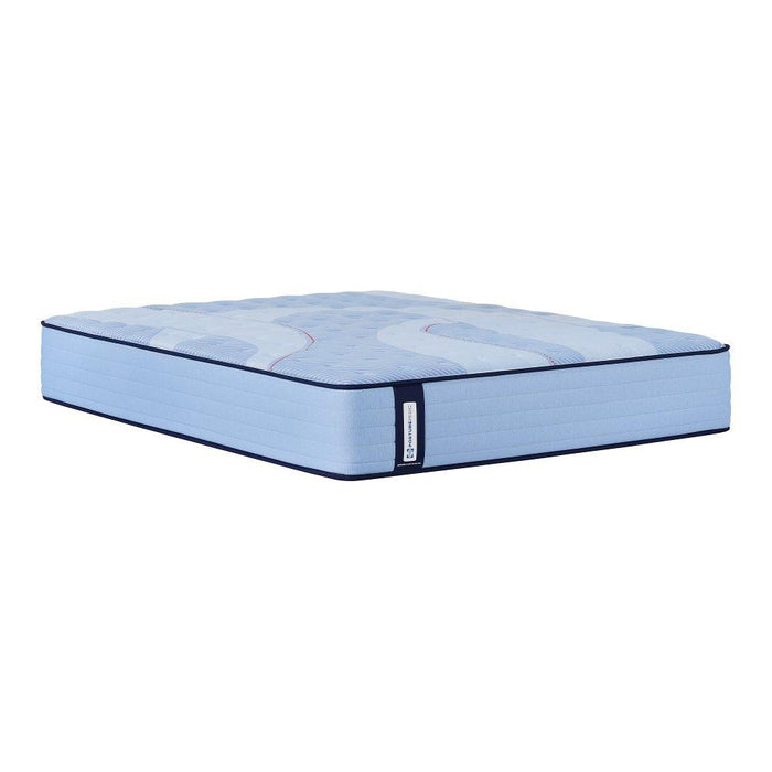 Kennett Spring Mattress - CasaBella Furniture (San Antonio, TX)