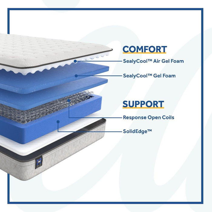 Hayward Innerspring Mattress - CasaBella Furniture (San Antonio, TX)
