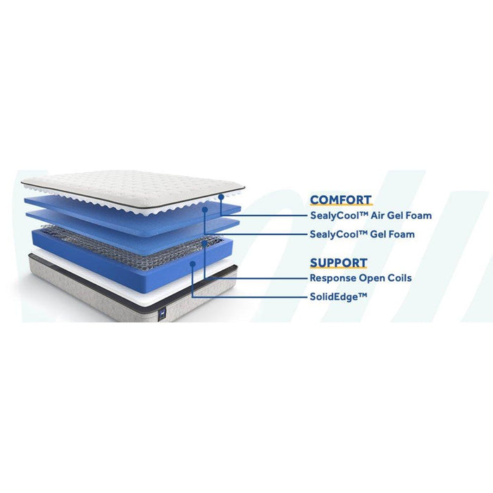 Hayward Innerspring Mattress - CasaBella Furniture (San Antonio, TX)