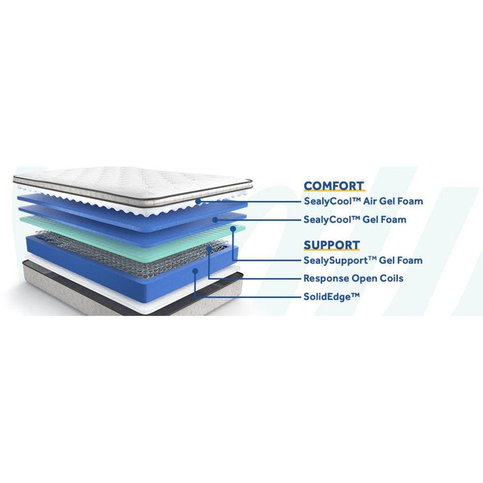 Hayward Innerspring Mattress - CasaBella Furniture (San Antonio, TX)