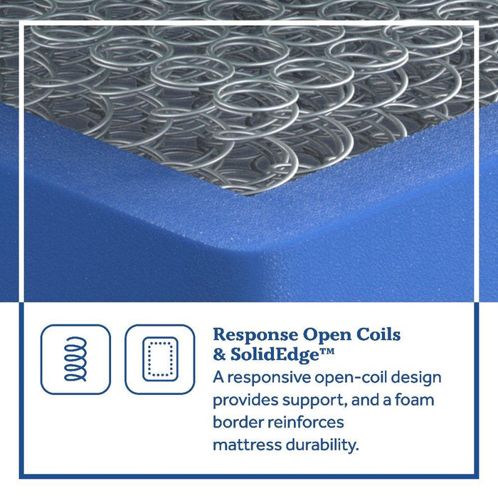 Hayward Innerspring Mattress - CasaBella Furniture (San Antonio, TX)