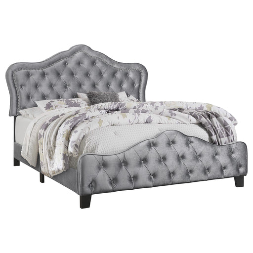 Bella Beds - CasaBella Furniture (San Antonio, TX)