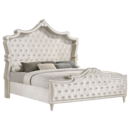 Antonella Queen Beds - CasaBella Furniture (San Antonio, TX)