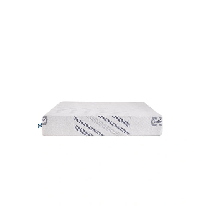 Sealy Provision Foam Mattress