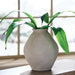 Hannela Vase - CasaBella Furniture (San Antonio, TX)