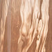 Dushby Vase - CasaBella Furniture (San Antonio, TX)