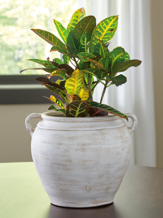 Meadie Vase - CasaBella Furniture (San Antonio, TX)