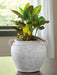 Meadie Vase - CasaBella Furniture (San Antonio, TX)