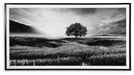 Deborland Wall Art - CasaBella Furniture (San Antonio, TX)