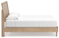 Cielden Bedroom Set - CasaBella Furniture (San Antonio, TX)