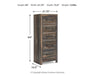 Drystan Narrow Chest - CasaBella Furniture (San Antonio, TX)