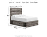 Graystorm Bed with Storage - CasaBella Furniture (San Antonio, TX)
