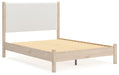 Cadmori Upholstered Bed - CasaBella Furniture (San Antonio, TX)