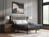 Millennium 2.0 Foam 12 Inch Mattress - CasaBella Furniture (San Antonio, TX)
