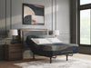 Millennium 2.0 Foam 14 Inch Mattress - CasaBella Furniture (San Antonio, TX)