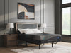 Millennium 2.0 Foam 14 Inch Mattress - CasaBella Furniture (San Antonio, TX)