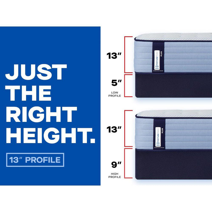 Plainfield Spring Mattress - CasaBella Furniture (San Antonio, TX)