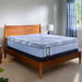 Lansdale Hybrid Mattress - CasaBella Furniture (San Antonio, TX)