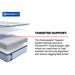 Kennett Spring Mattress - CasaBella Furniture (San Antonio, TX)
