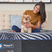 High Point Foam Mattress - CasaBella Furniture (San Antonio, TX)