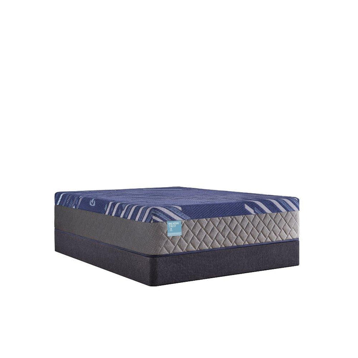 Royal Oaks Hybrid Mattress