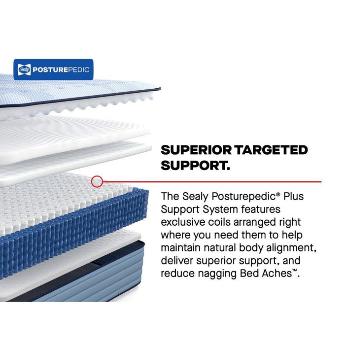 Plainfield Spring Mattress - CasaBella Furniture (San Antonio, TX)