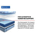 Lansdale Hybrid Mattress - CasaBella Furniture (San Antonio, TX)