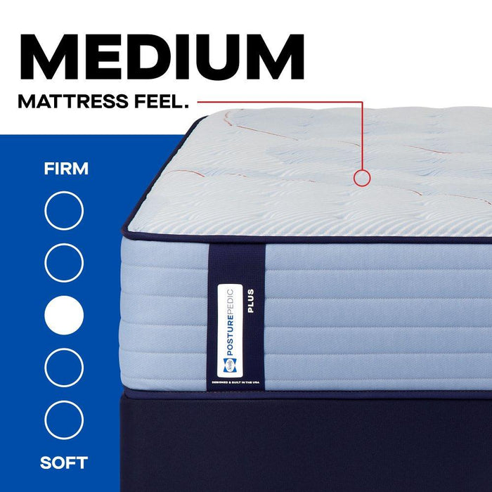 Plainfield Spring Mattress - CasaBella Furniture (San Antonio, TX)