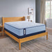 Jace Spring Mattress - CasaBella Furniture (San Antonio, TX)