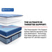 Lansdale Spring Mattress - CasaBella Furniture (San Antonio, TX)