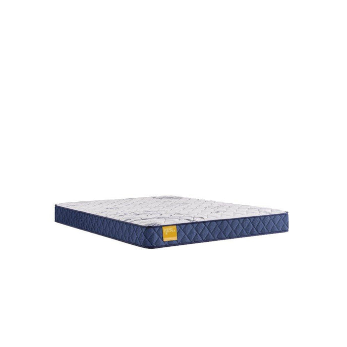 Erie Foam Mattress