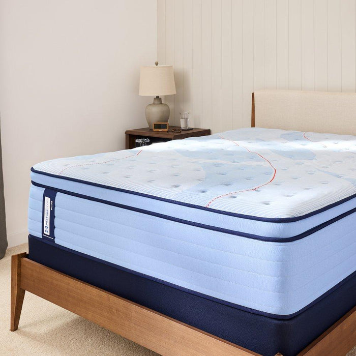 Plainfield Spring Mattress - CasaBella Furniture (San Antonio, TX)