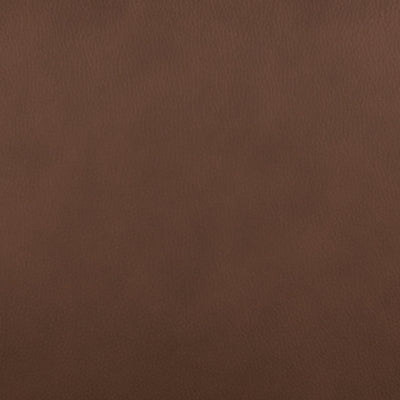 Pincara Power AutoGlide Recliner - CasaBella Furniture (San Antonio, TX)