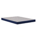 Sealy 2025 Foundation - CasaBella Furniture (San Antonio, TX)
