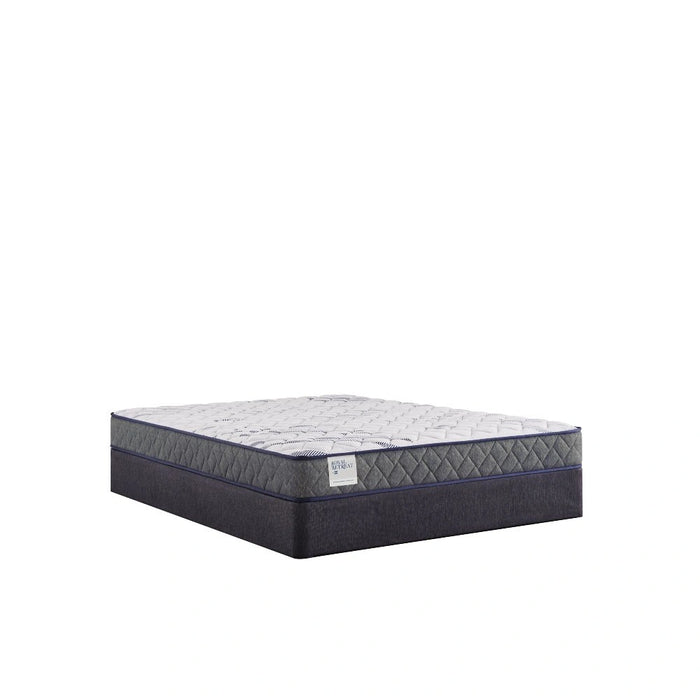 Sealy Paisley Foam Mattress