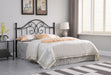 Bailey Queen / Full Headboard - CasaBella Furniture (San Antonio, TX)