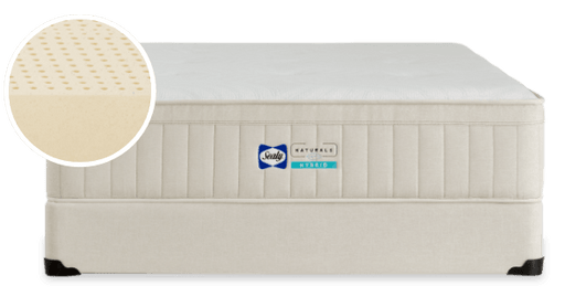 Sealy Naturals Latex Hybrid PL/FM - CasaBella Furniture (San Antonio, TX)