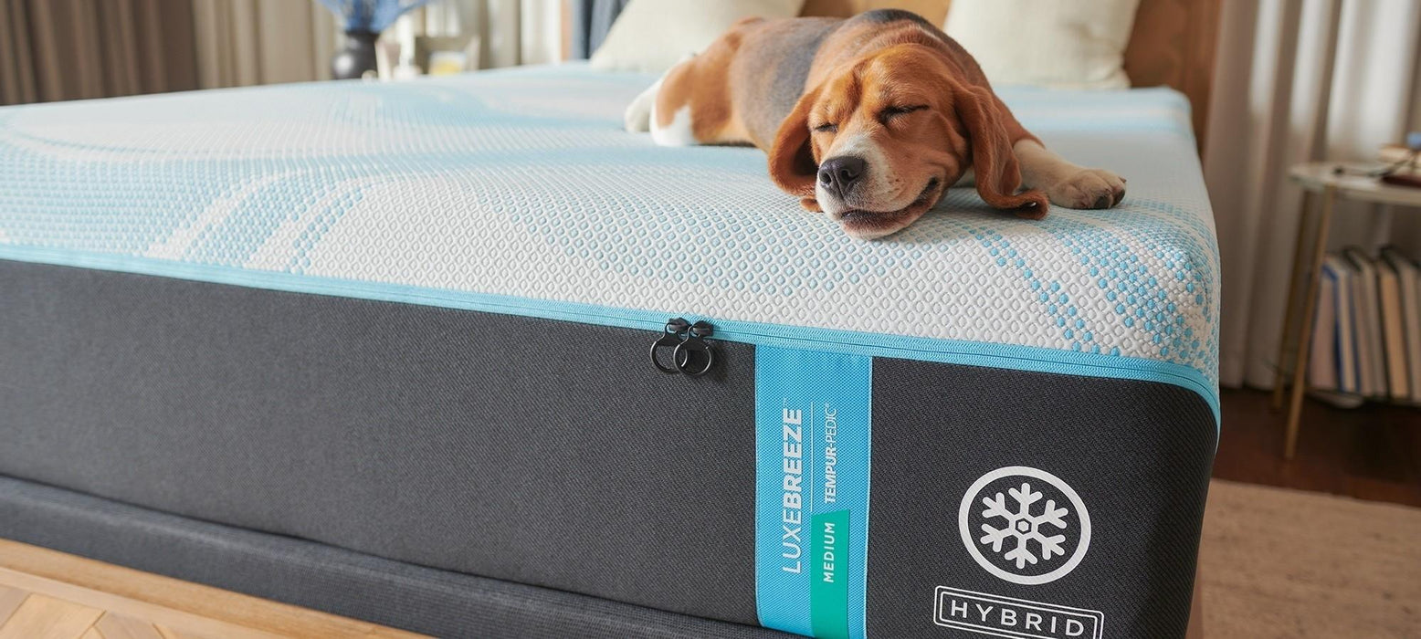 Tempur-Pedic LuxeBreeze Medium Hybrid Mattress - CasaBella Furniture (San Antonio, TX)