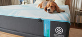 Tempur-Pedic LuxeBreeze Medium Hybrid Mattress - CasaBella Furniture (San Antonio, TX)